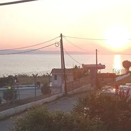 Sophie's Summer House