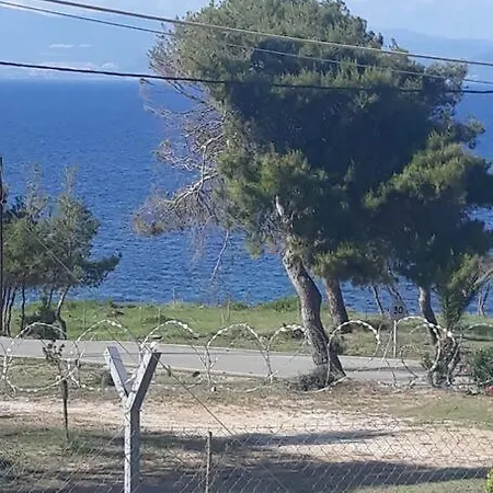 Sophie's Summer House