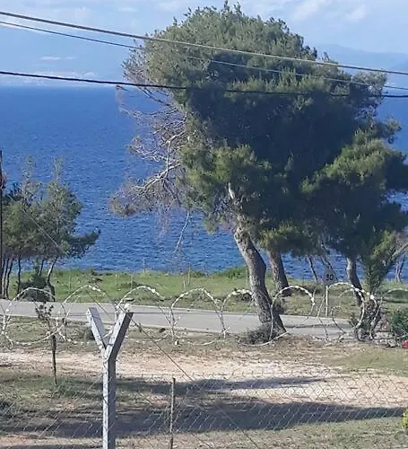 Sophie's Summer House