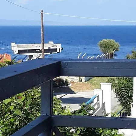 Sophie's Summer House *